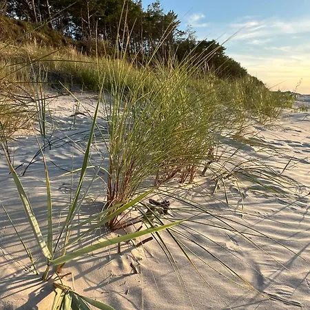 Homestay Goscinne U Marynarza *