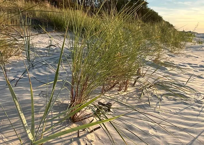 民宿 Goscinne U Marynarza *